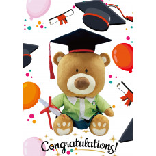 Graduation Teddy Bear (Girl)