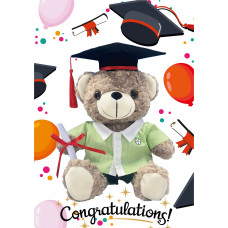 Graduation Teddy Bear (Boy)